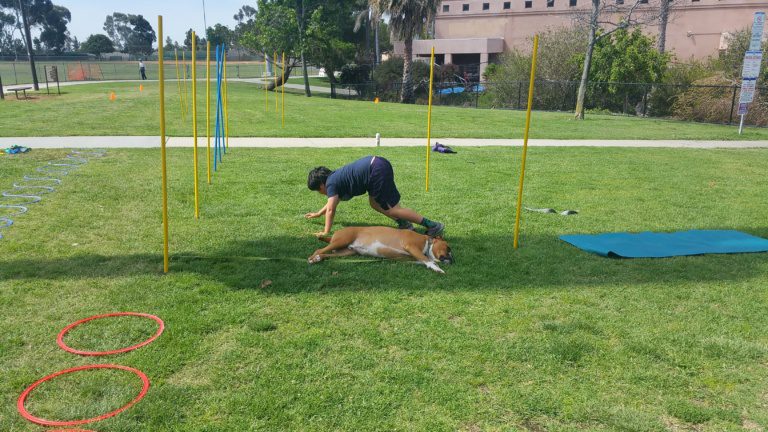 youth fitness san diego agilility drills