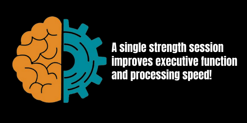 Graphic showing the connection between strength training, executive function, and improved cognitive processing speed